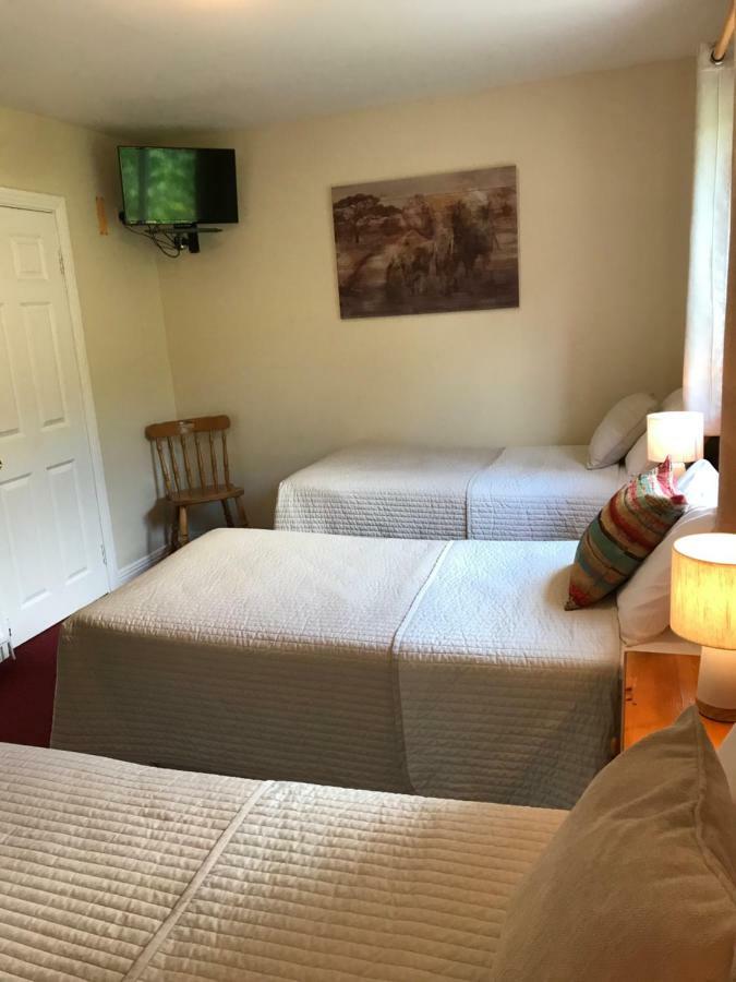 كيلكيني San Antonio Guesthouse المظهر الخارجي الصورة